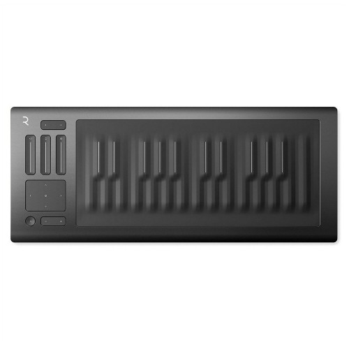 Roli Seaboard Rise 25